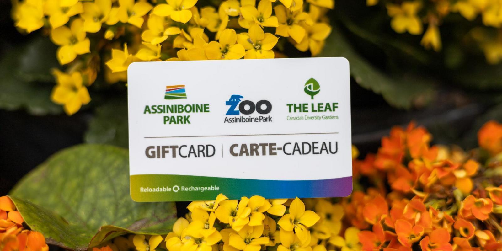 IMG_0091.jpg (181 KB)